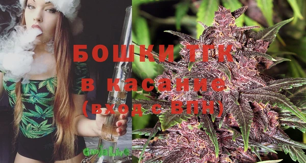 PSILOCYBIN Богданович